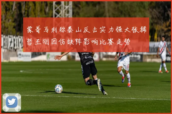 蒙哥马利称泰山反击实力强大张稀哲王刚因伤缺阵影响比赛走势